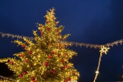Weihnachtsbaum-02