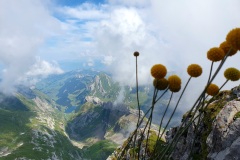 Auf-dem-Saentis-13