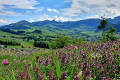 Ausblick-zu-hoher-Kasten