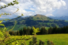 Aussicht-Richtung-Hoher-Kasten