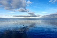 Bodensee-02