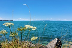 Bodensee-03