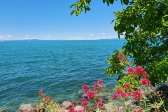 Bodensee-04