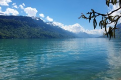 Brienzersee-02