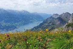 Chaeserrugg-Rosenboden-05