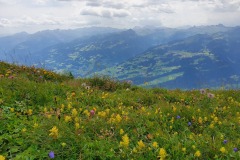 Chaeserrugg-Rosenboden-06
