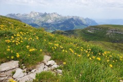 Chaeserrugg-Rosenboden-11