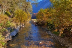 Goldener-Herbsttraum Goldener-Herbsttraum