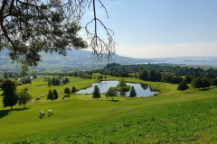 Golfplatz-Wangen