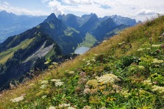 Hoher-Kasten-09