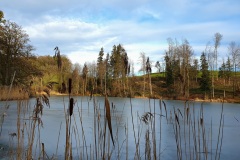 Naturweiher