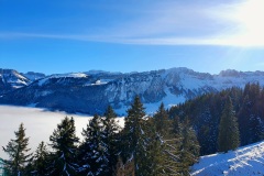 Nebeldecke-04