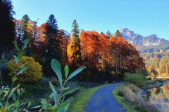 Obersee-04 Obersee-04