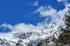 Saentis-01