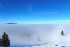 Schnee-Nebeldecke-03