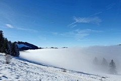 Schnee-Nebeldecke-04