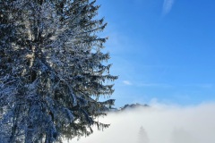 Schnee-Nebeldecke-05