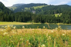 Voralpsee_Grabserberg_02 Voralpsee_Grabserberg_02