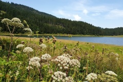 Voralpsee_Grabserberg_03 Voralpsee_Grabserberg_03