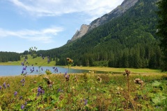Voralpsee_Grabserberg_04 Voralpsee_Grabserberg_04
