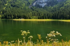 Voralpsee_Grabserberg_06 Voralpsee_Grabserberg_06