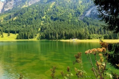 Voralpsee_Grabserberg_07 Voralpsee_Grabserberg_07
