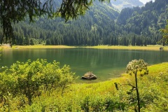 Voralpsee_Grabserberg_08 Voralpsee_Grabserberg_08