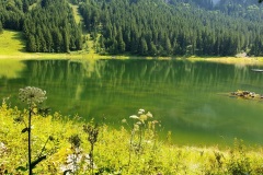 Voralpsee_Grabserberg_09 Voralpsee_Grabserberg_09