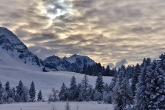 Winterlandschaft-bei-Vollmond
