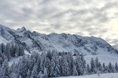 Winterlandschaft-mit-Abendaemmerung
