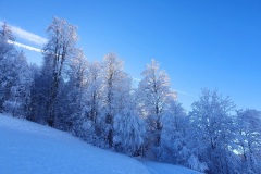 Winterwunderland