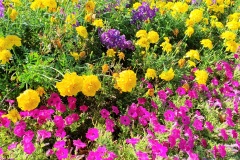 Blumenmix-02