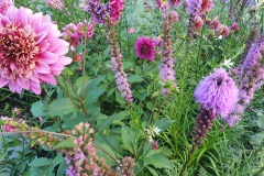 Blumenvielfalt-01