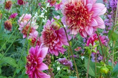 Blumenvielfalt-02