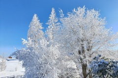 Frostiger-Wintertraum-03