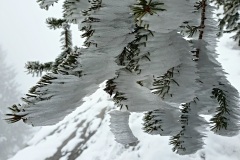 Frozen-04