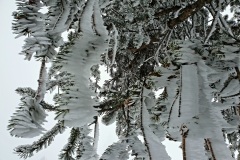 Frozen-05