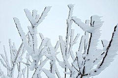 Frozen-11